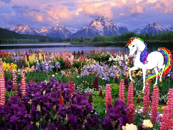 Crazy great glad cute divine sparkle