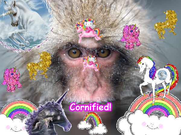 The best cool merry sunny merry sparkle