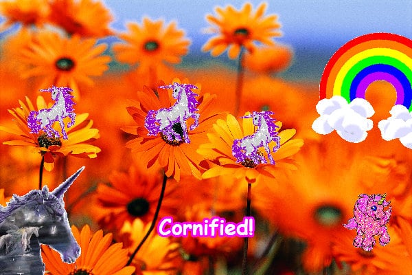 A sunny joyful fun best rainbow