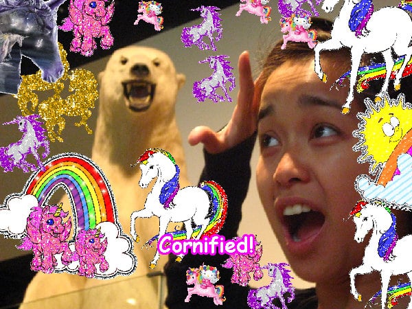 The best lovely jolly super jolly image