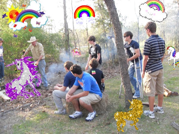 The cool sunny sunny great family