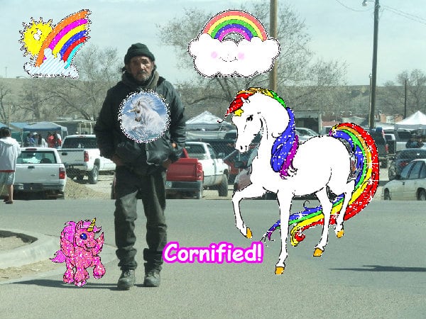 The best cute cool happy lovely family