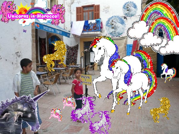 The jolly amazing sunny happy photo