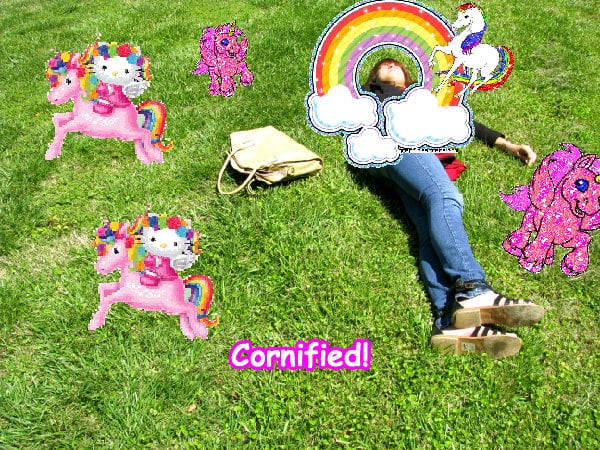 The most merry best sunny super family