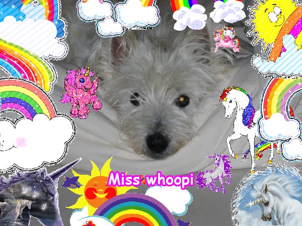 Crazy jolly merry awesome cool image