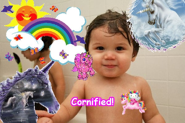 The most cute merry merry sunny picture