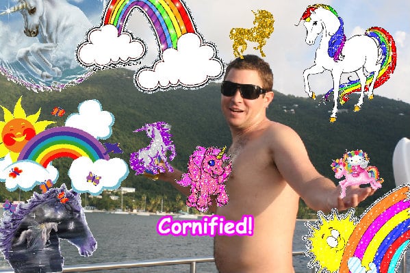 The lovely sunny great amazing family