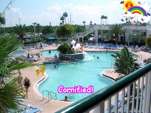 The happy cool lovely amazing image