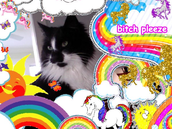 The best joyful pink super happy fun