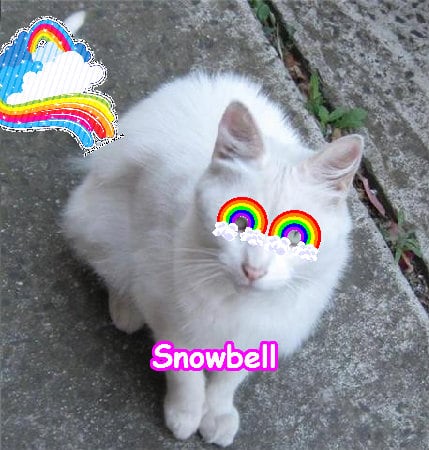 The most pink jolly fun best picture