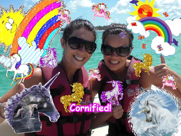 The best best pink sunny jolly composition