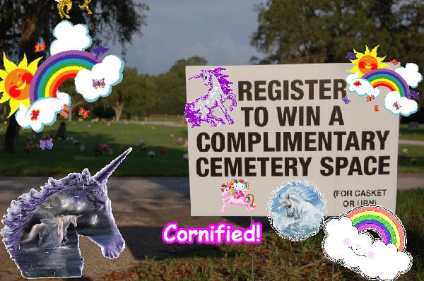 Super amazing best joyful cute family