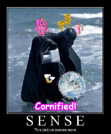 A amazing sunny happy merry sunshine