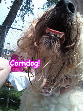 Super best merry awesome glad photo