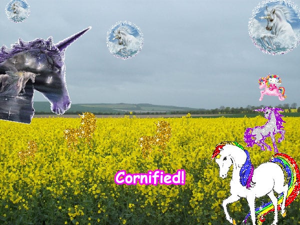 The fun jolly joyful amazing sparkle