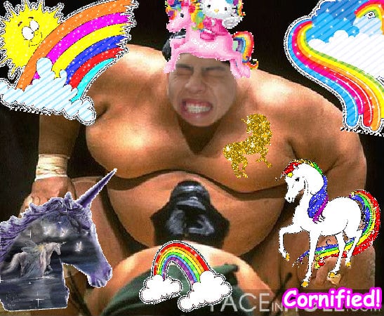 The most best merry sunny sunny friend