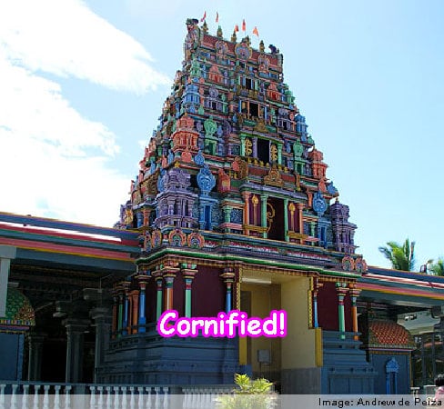 Crazy happy jolly divine best family