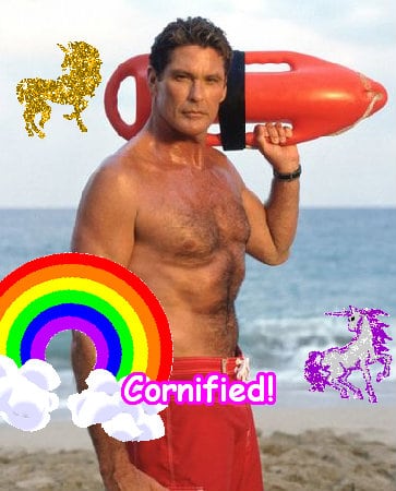 The jolly fun great merry unicorn