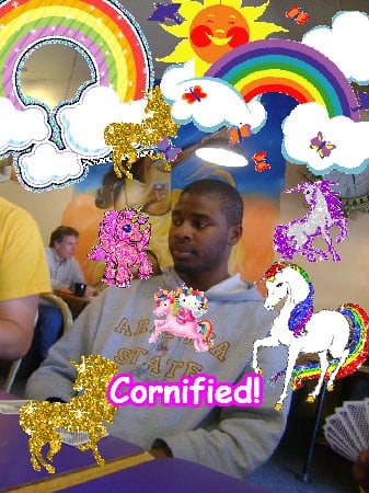 The most best divine best sunny image