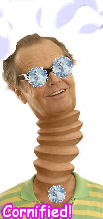 The best amazing glad sunny cool sunshine