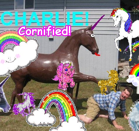 Crazy joyful divine cool great photo