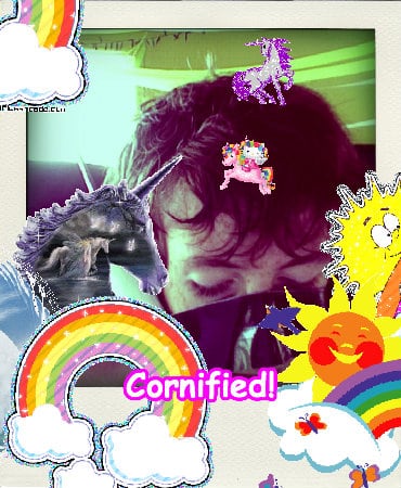 A amazing cool cute sunny hug