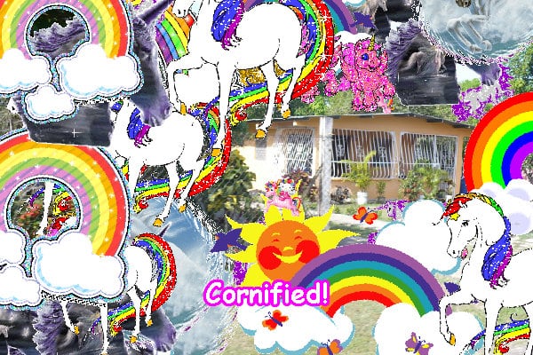 The joyful fun best joyful sunshine