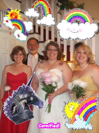 The best sunny fun amazing glad picture