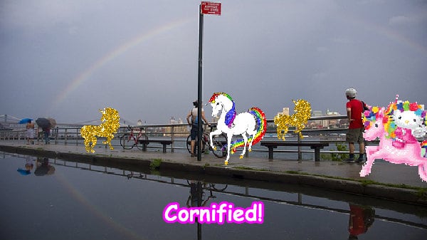 Super divine pink cute fun composition