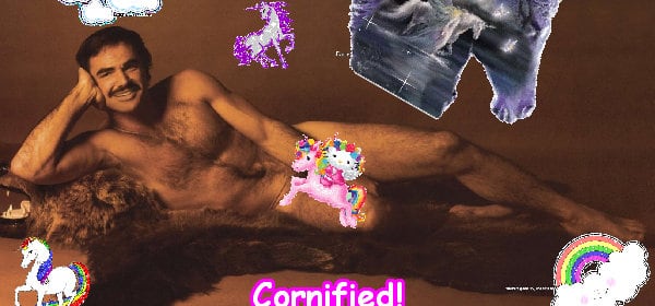 The lovely fun pink divine composition