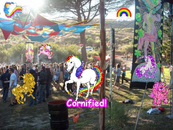 Crazy amazing best sunny happy hug