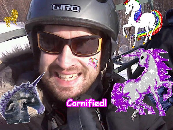 A pink best amazing jolly sunshine