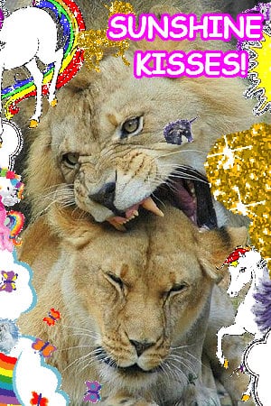 SUNSHINE KISSES!