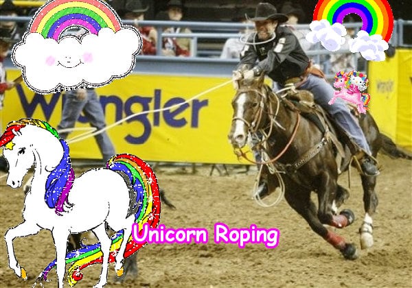 Unicorn Roping