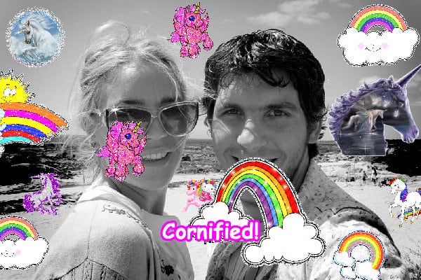 Crazy pink super divine sunny composition