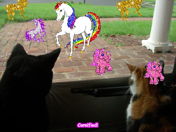 The amazing fun happy happy friend