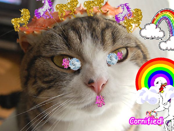 The most joyful lovely divine glad family