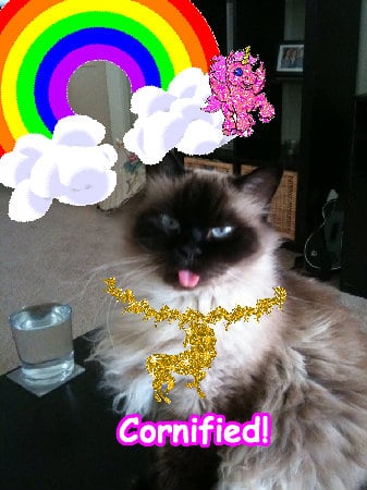 Mindblowingly awesome awesome cute pink unicorn