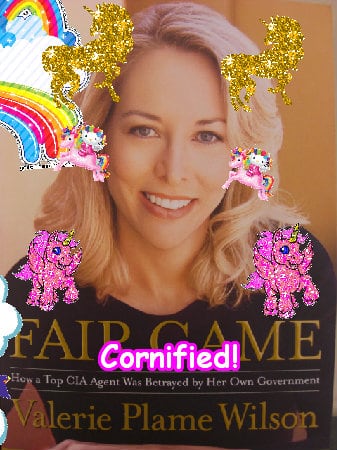 A sunny best super cool friend