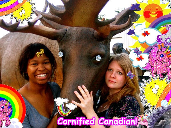 Super sunny sunny super awesome picture