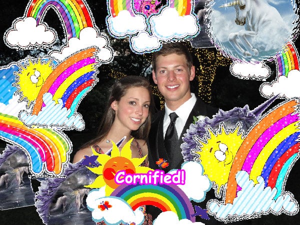 A sunny sunny cool jolly fun