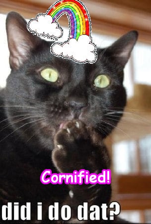 A joyful happy best glad photo