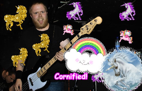 A amazing merry merry great family