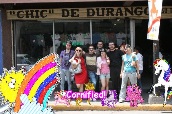 Crazy amazing sunny happy best photo