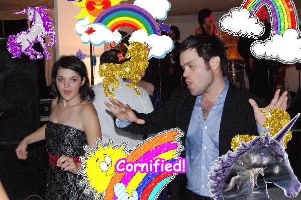 The sunny fun best best unicorn