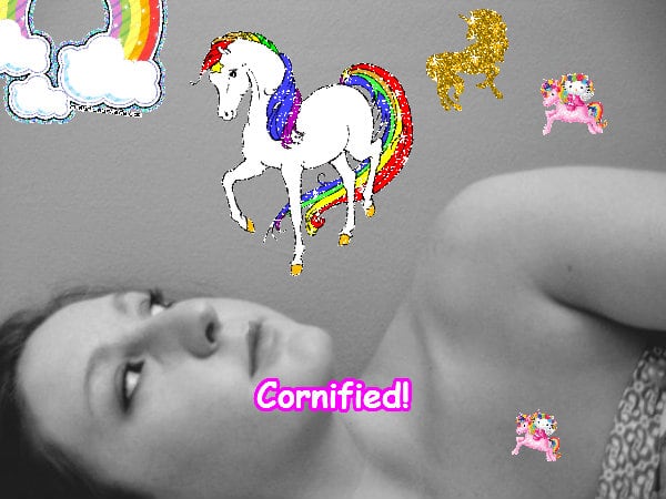 The cute cool sunny great hug