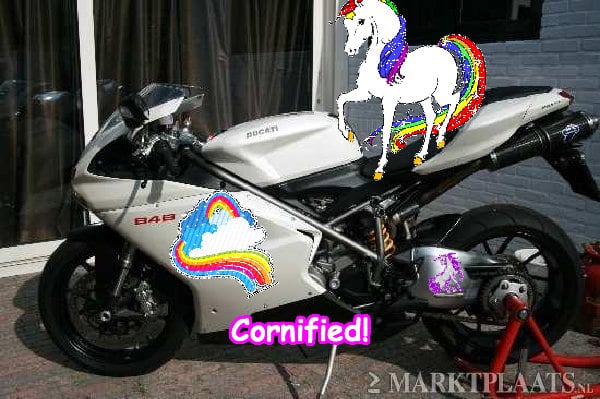 Crazy sunny best joyful cute sunshine