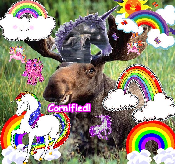 The great happy amazing fun sunshine