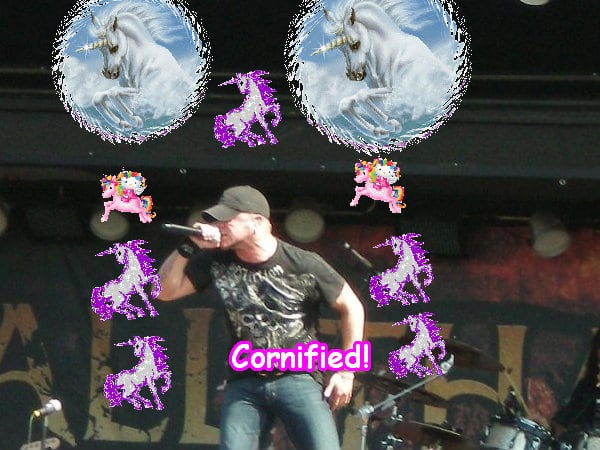 The divine merry divine fun family