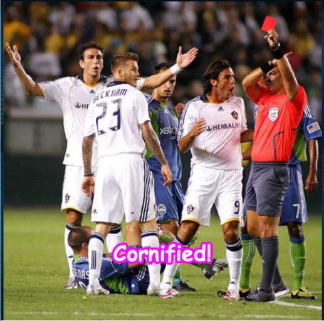 The most jolly fun amazing amazing rainbow